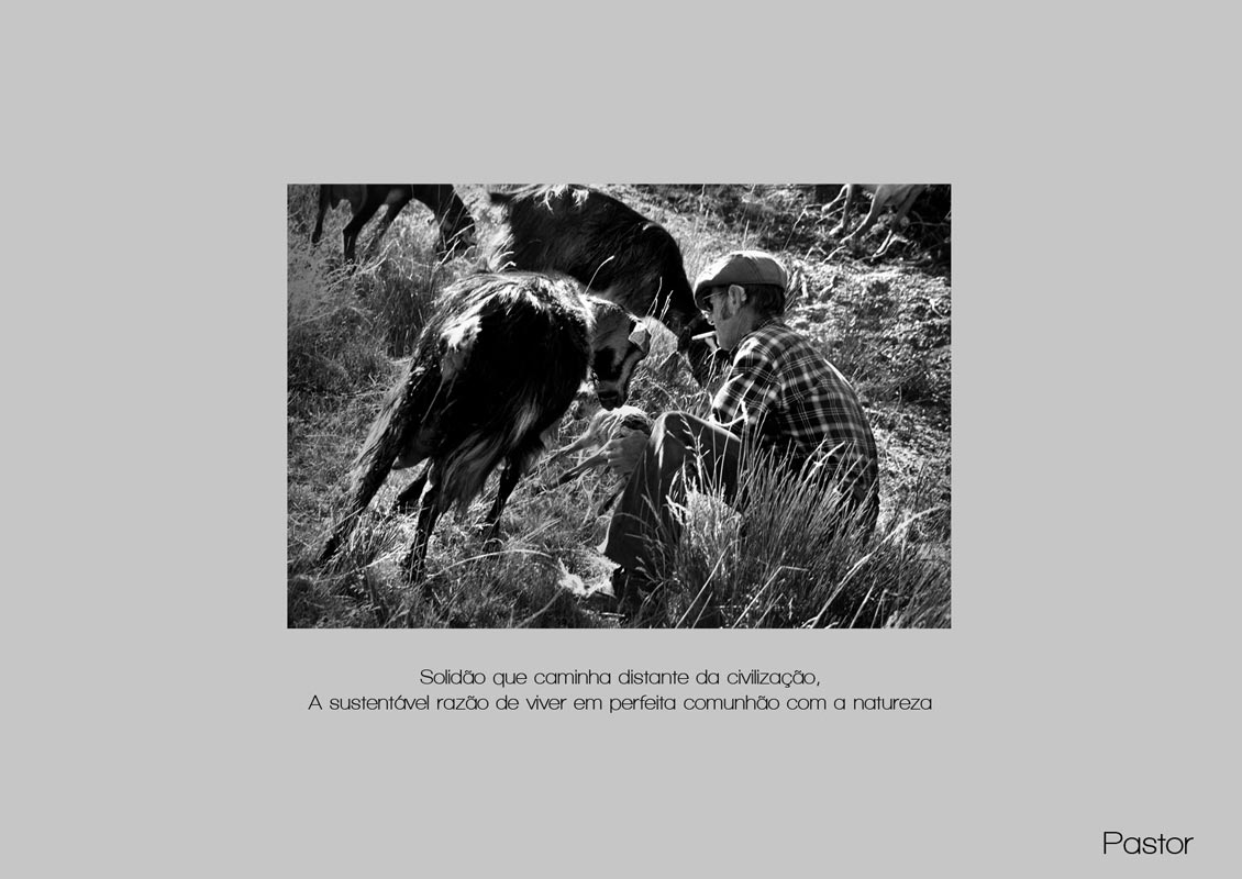 Shepherd - Loneliness that walks away from civilization, the sustainabler reason to live in a perfect communion with nature